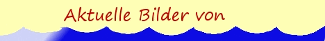 www.schiffgiganten.de