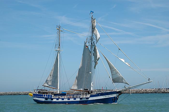 Baltic Beauty