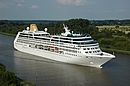 Adonia Adonia